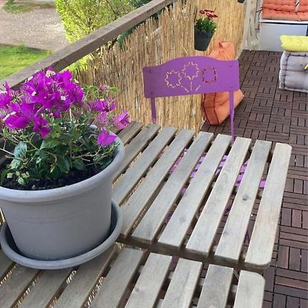 Appartement Cosy Dijon Eksteriør billede